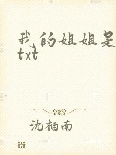 我的姐姐是美女txt