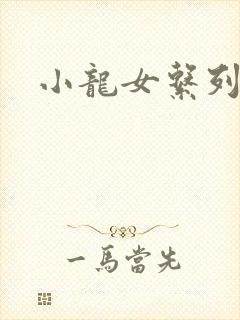 小龙女系列小说
