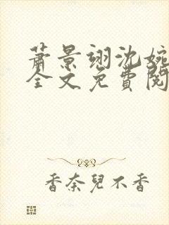萧景翊沈婉小说全文免费阅读封面
