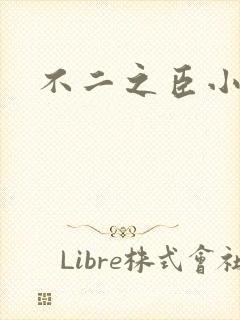 不二之臣小说封面