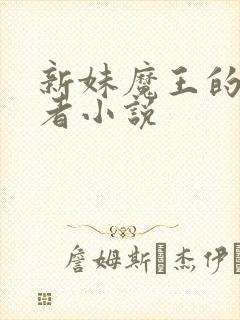新妹魔王的契约者小说