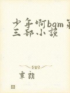 少年啊bgm第三部小说封面