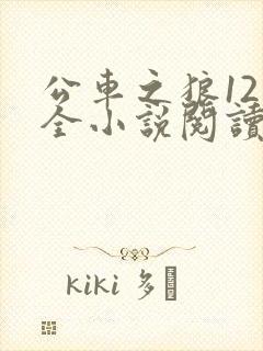 公车之狼12集全小说阅读