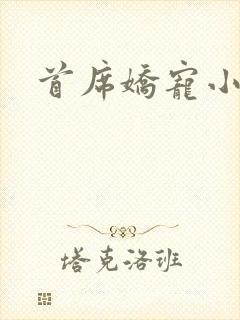 首席娇宠小情人