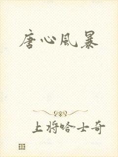 唐心风暴