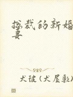 总裁的新婚下堂妻