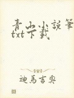 青山小说笔趣阁txt下载