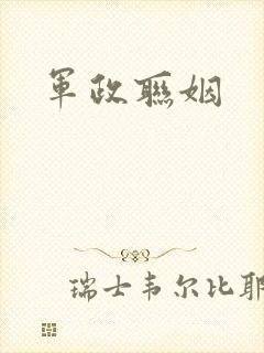 军政联姻