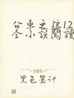 公车之狼12集全小说阅读封面
