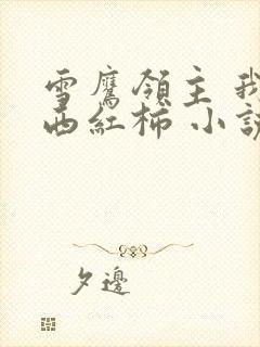 雪鹰领主 我吃西红柿 小说