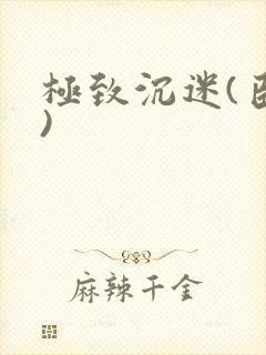 极致沉迷(臣年)封面