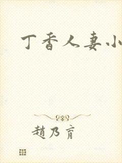 丁香人妻小说