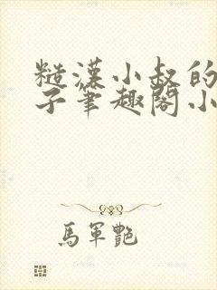 糙汉小叔的娇嫂子笔趣阁小说封面