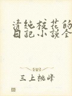 清纯校花的堕落日记小说全文免费阅读
