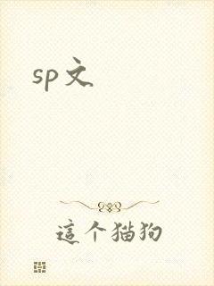 sp文封面