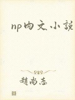 np肉文小说