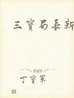三宝局长新编封面