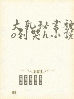 大乳秘书被cao到哭h小说封面