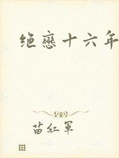 绝恋十六年封面