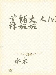 首辅大人1v2林婉婉