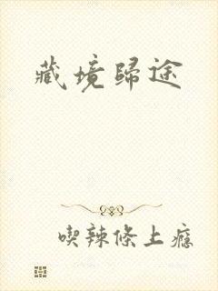 藏境归途封面