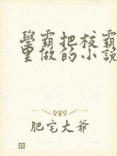学霸把校霸往死里做的小说封面