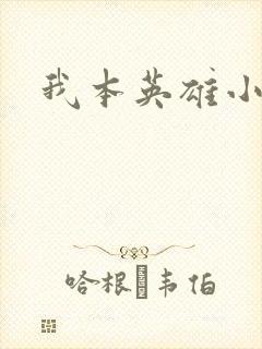 我本英雄小说