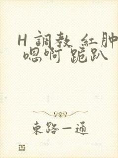 H 调教 红肿 嗯啊 跪趴