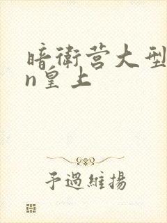 暗卫营大型hpn皇上