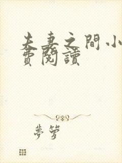 夫妻之间小说免费阅读