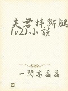 夫君摔断腿后(1v2)小说