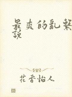 最爽的乱系列小说