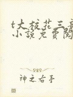 t大校花三部曲小说免费阅读全文
