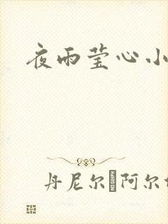 夜雨莹心小说