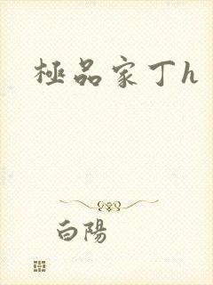 极品家丁h