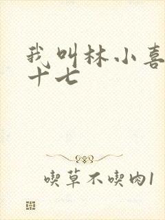 我叫林小喜今年十七