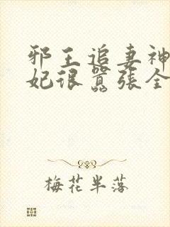 邪王追妻神医狂妃很嚣张全文免费