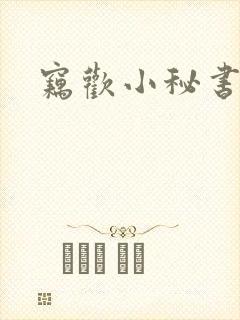 窃欢小秘书封面