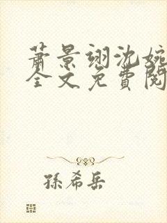 萧景翊沈婉小说全文免费阅读封面