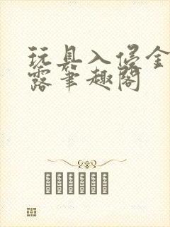 玩具入侵金银花露笔趣阁封面