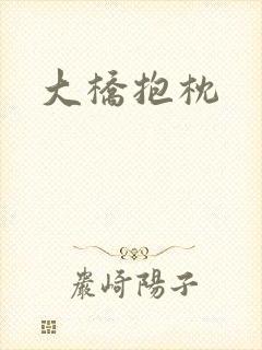 大桥抱枕