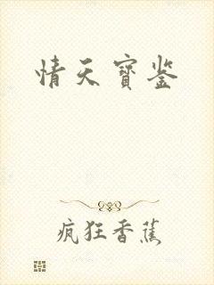 情天宝鉴封面