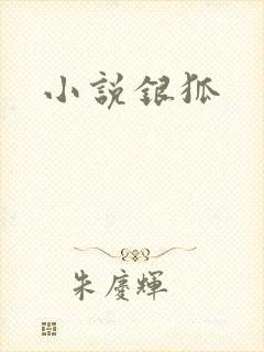 小说银狐封面