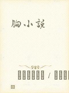 胸小说
