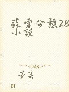 苏雪公憩28篇小说