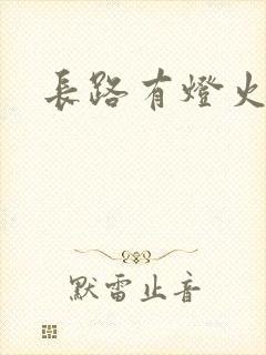 长路有灯火