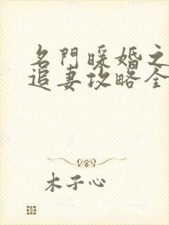 名门暖婚之权爷追妻攻略全文免费阅读