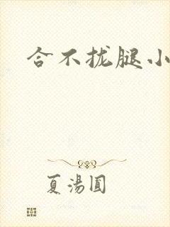 合不拢腿小说封面