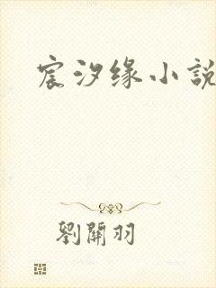 宸汐缘小说封面