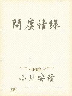 问尘情缘封面